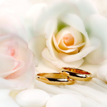 東京で結婚相談所｜40代・30代・20代の婚活ならオンライン対応の「さくらいろ　マリッジサロン」